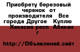 Приобрету березовый черенок  от производителя - Все города Другое » Куплю   . Хакасия респ.,Абакан г.